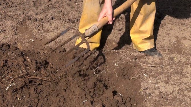 изкопаване на почвата
