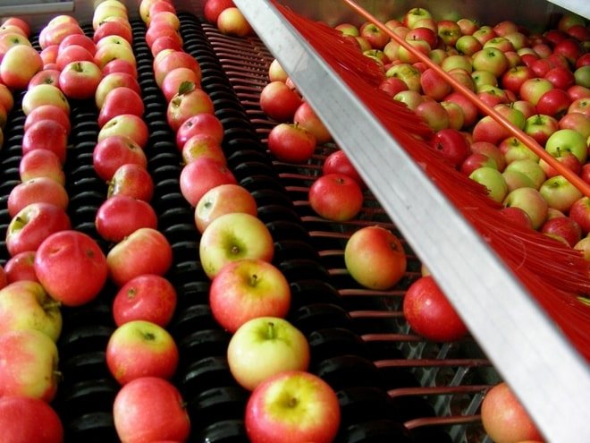 معالجة التفاح