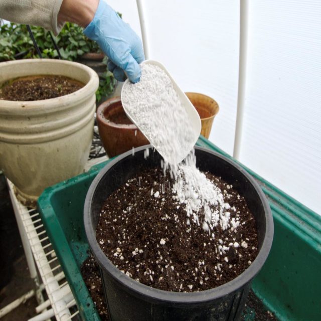 perlite is poured into a pot