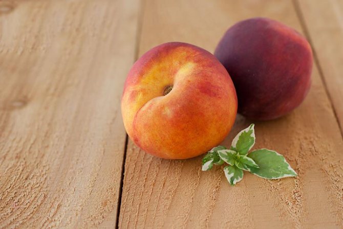 En persika i din trädgård: plantering, skötsel och beskärning