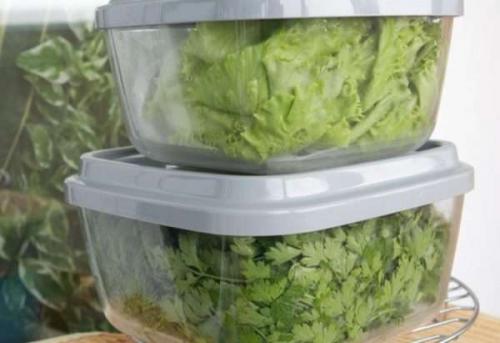 Съхранение на лист магданоз. Поддържането на магданоз и други зеленчуци свежи през зимата е лесно