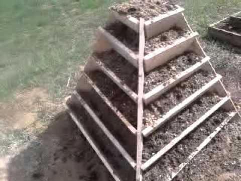 Strawberry pyramid