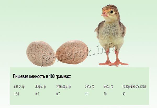 Nutritional value of guinea fowl eggs