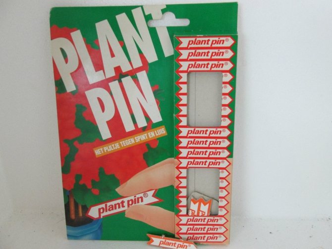 Plant-Pin