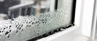 Mucegai pe fereastră: cauze ale apariției, metode și mijloace de luptă
