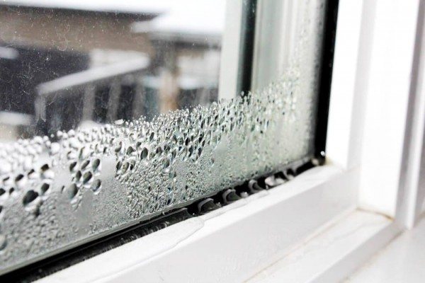 Moisissure sur la fenêtre: causes d'apparition, méthodes et moyens de lutte