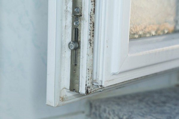 Mold on the window: causes of appearance, methods and means of struggle