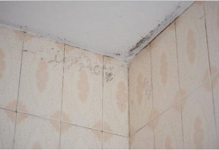 Mold in the bathroom at the seams of the tiles