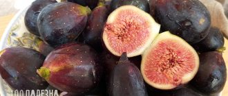 Dark figs