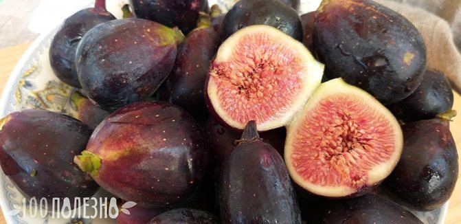 Dark figs