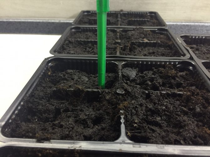 Soil for planting seeds