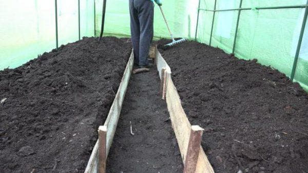 greenhouse soil