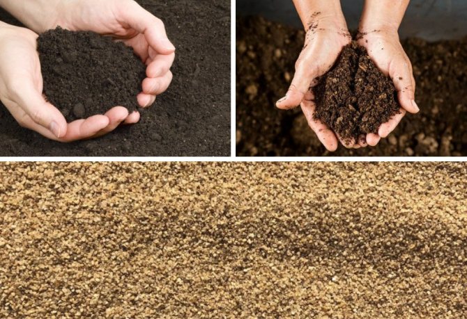 Soil preparation for planting