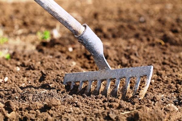soil preparation