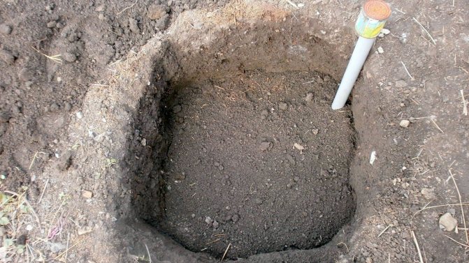 Подготовка на почвата за засаждане