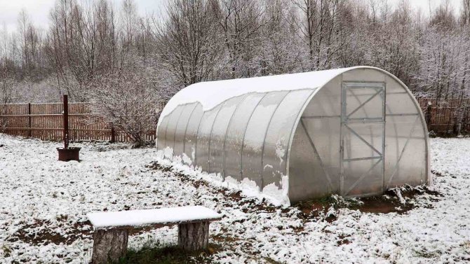 Preparing the greenhouse for winter