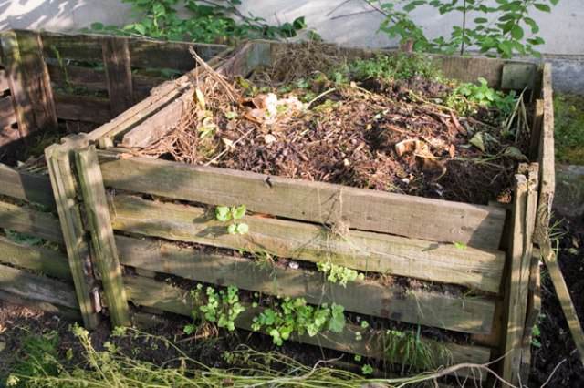 Fallen leaves are also suitable for preparing high-quality compost, if you add them to a properly built pit in a small amount