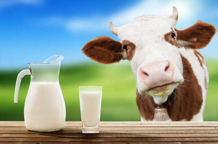 تغذية الخيار باليود والحليب