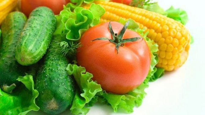 подхранване на домати и краставици с калциев нитрат