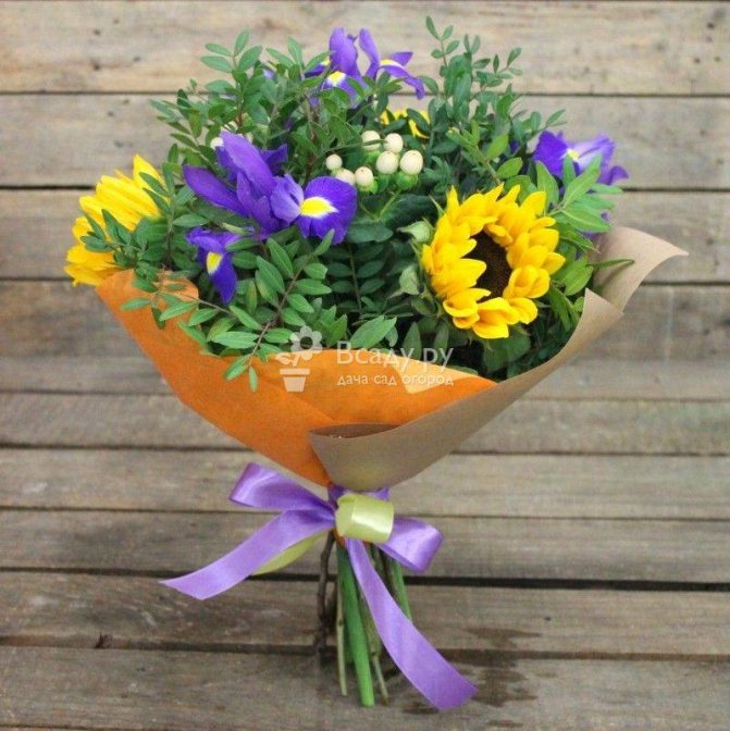 Sunflower - photo of a beautiful bouquet