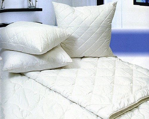 Pillows, blankets and mattresses must be dry cleaned