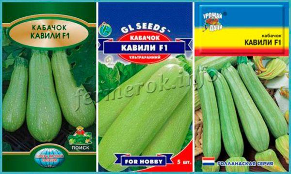 Therefore, the Kavili F1 zucchini is planted in May if the seeds are sown