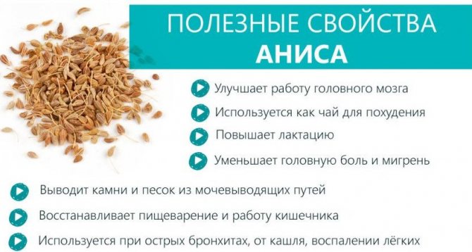 Useful properties of anise
