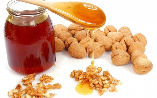 Sifat walnut berguna dengan madu