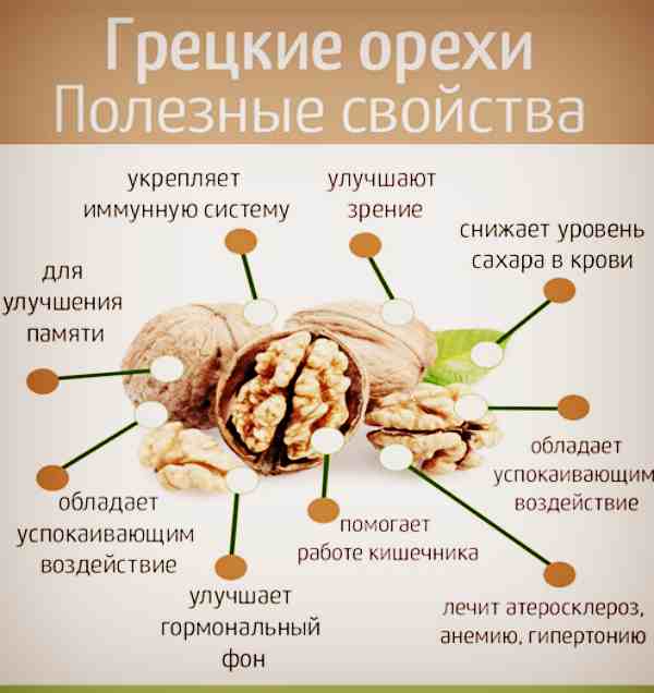 Sifat walnut yang berguna