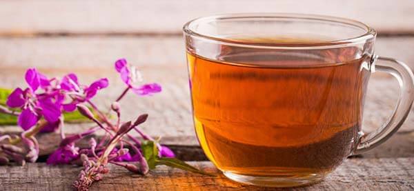 Useful properties of Ivan tea