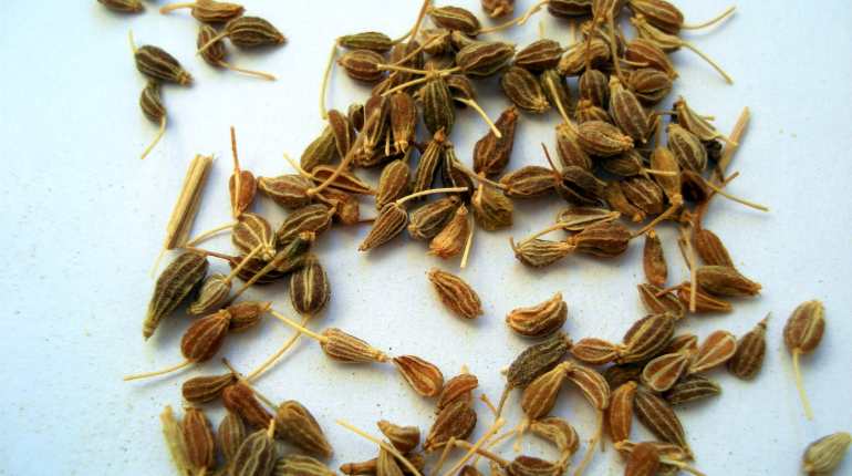 The beneficial properties of anise seeds