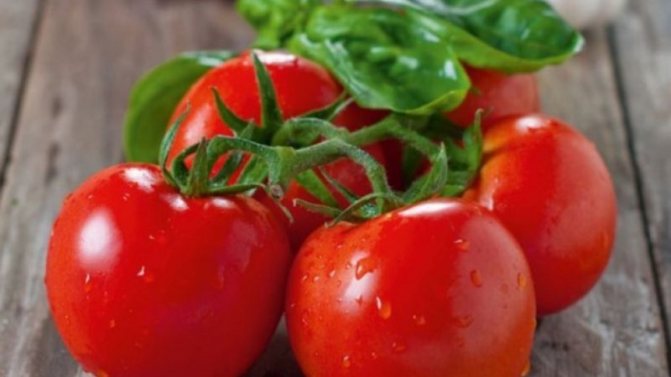 „Получаваме висок добив с минимални разходи и рискове, като отглеждаме домат