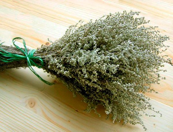Wormwood from ants