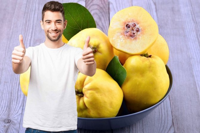 The benefits of quince for men