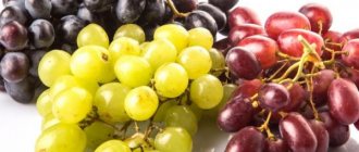 Ползите от бялото и черното грозде