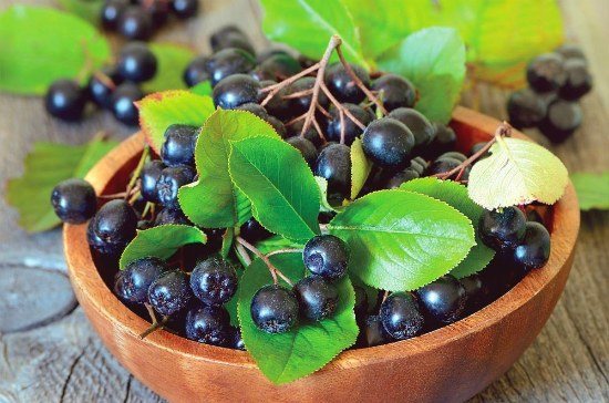 The benefits of chokeberry for the body