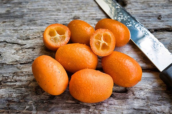 Výhody a poškození kumquatu