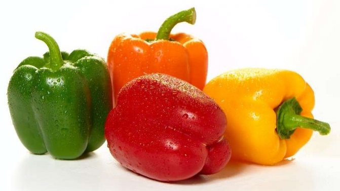 Beneficiile și daunele ardeiului dulce galben și există o diferență între culorile legumelor