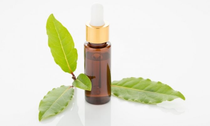 the benefits of laurel oil