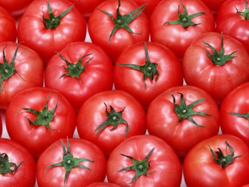 فواكه أو خضروات طماطم. الطماطم: هل هي توت أم خضار أم فاكهة؟