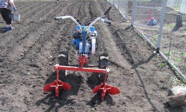 Planterar potatis med en bakomliggande traktor med en dubbelradig hiller-video