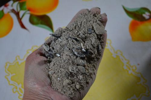 Plantering av hallon i höstgödsling. Vad man ska lägga i hålet när man planterar hallon på hösten. De bästa gödselmedlen