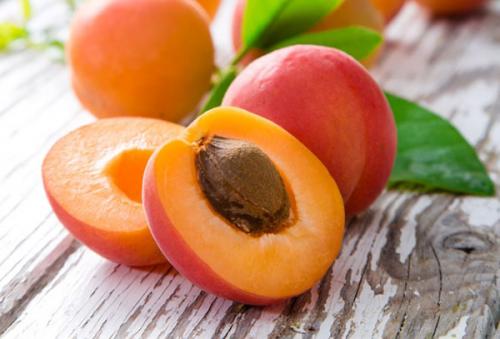 Planterar en grop persika på hösten. Såmöjligheter för persikogropar
