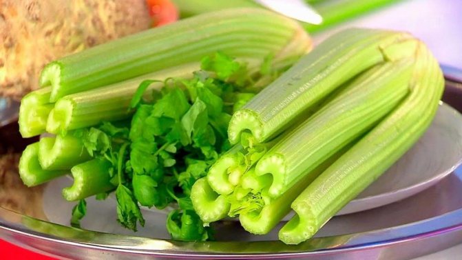 Isang sunud-sunod na gabay sa lumalaking stalked celery sa labas ng bahay