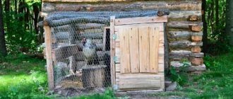 It's easy to build a chicken shed with your own hands.