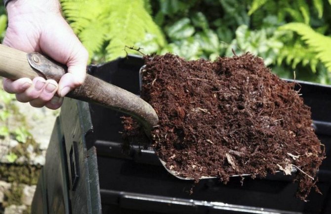 Improving soil fertility with compost