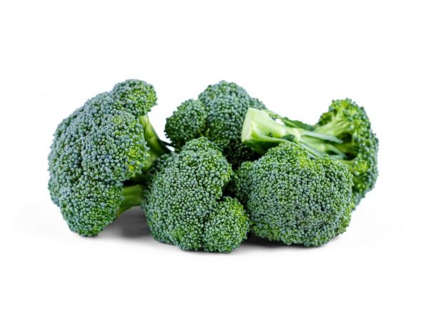 Regler för odling av broccoli i Moskva-regionen