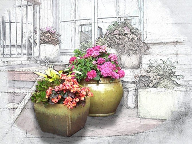 Benefits of outdoor flowerpots