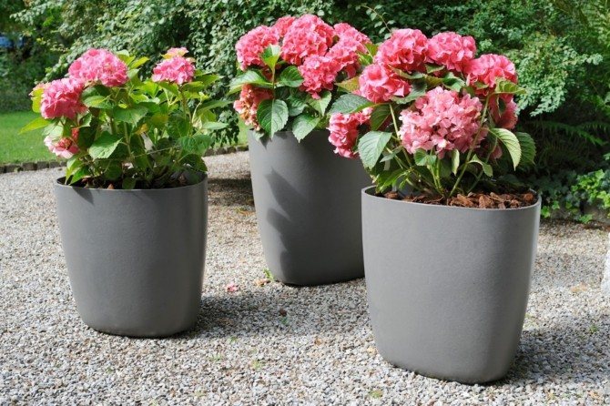 Benefits of outdoor flowerpots