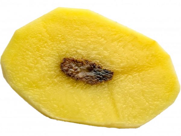 Причини за чернота вътре в картофите